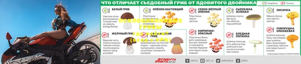 амф Переславль-Залесский