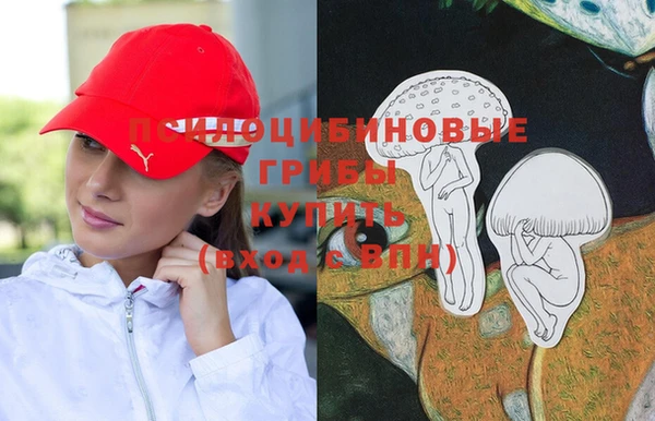 МДМА Заводоуковск