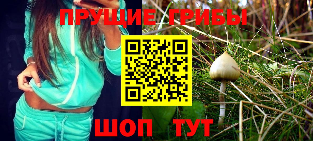 Псилоцибиновые грибы MAGIC MUSHROOMS  Галлюциногенные грибы Psilocybine cubensis  Пыть-Ях  Вход с VPN 