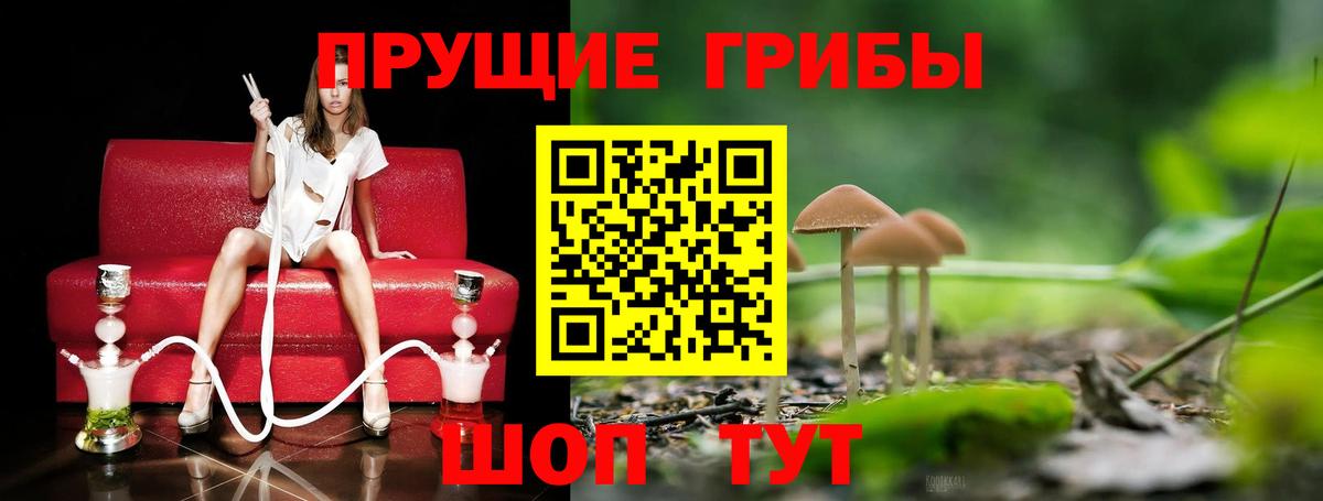 Псилоцибиновые грибы Psilocybine cubensis Пыть-Ях